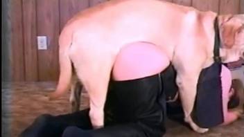 Hot Labrador hardcore zoo sex with a busty mature