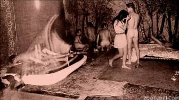 Unique footage of bestiality adult videos featuring sexy women