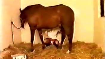Brutal equine anal intercourse featuring a blonde mature woman