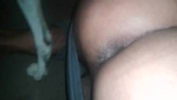 Ebony hound bangs an attractive animal enthusiast tramp in the doggy position pose