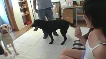 Japanese chick with cute face is getting banged by doggy