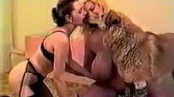 Savage scenes of dog fucking with two busty sluts