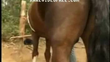 Dark stud skillfully bangs a hot babe in missionary position