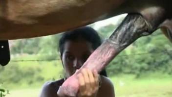 Lustful Latina enjoys sucking horse dicks outdoors
