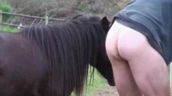 Rough outdoor zoo porn with horse's giant cock