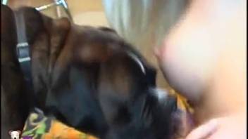 Blonde vixen screws a brown canine on the mattress