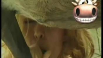 Wavy-haired babe slurping on a stallion's enormous cock