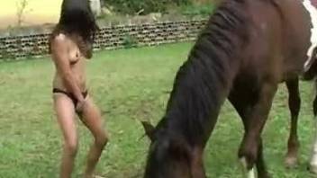 Toned chick is sucking tasty horse dick and getting nicely nailed