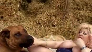 Voluptuous woman with pierced vagina attempts canine zoophilia in the stable