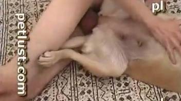 Big-dicked guy fucking his bitch's juicy pussy on a bed