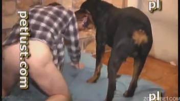 Dark canine and its perverted master in intense rear-entry animal sex scene