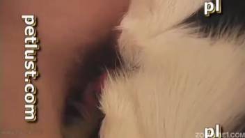 Adorable speckled canine gets roughly banged in the missionary position.