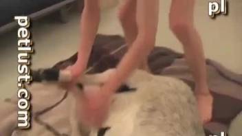 Spotted white dog and sexy man in filthy homemade bestiality XXX