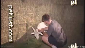 Pale beast penetrated by animal lover in missionary position