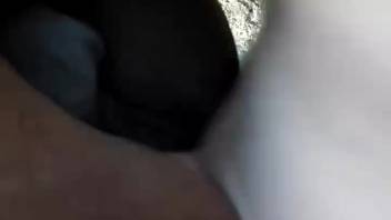 Rancher yanks out his stiff cock and shoves it into the horse's ass