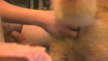 Lustful doggy is pleasing dirty owner in homemade Animal Porn