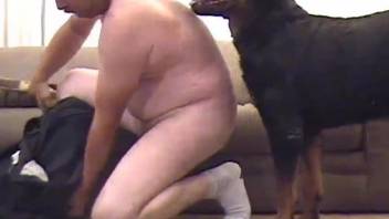 Perfect-looking black doggy and horny man in homemade Zoo XXX