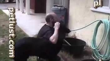 Trained black dog hardly bangs a dirty-minded zoophile lover