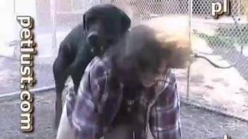 Dog gets the single greatest blowjob of its entire life