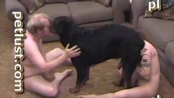 Fat man fucks his lovely doggy in homemade Animal Porn XXX