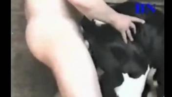 Boy