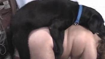 Fat hottie gets vagina full of sperm after sex with dog