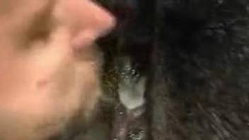 Man assfucks black stallion and covers hole with warm sperm