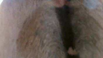 Aroused dude demolished a beast's snug tiny pussy