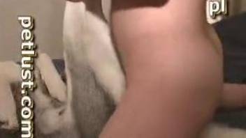 Perverted buddy practices sex with his obedient Husky