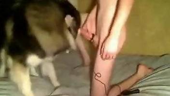Skinny buddy tries to make love with his attractive Husky dog