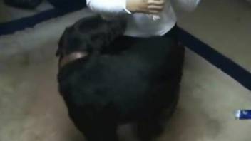 Black dog allows blonde-haired mistress to gag on his penis