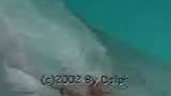 Inquisitive guy inserts fingers into the tasty opening of a marine creature