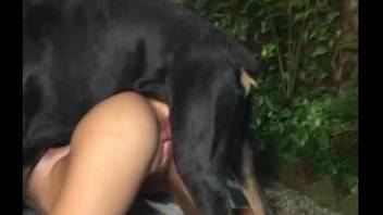 Wavy-haired girl screwed by intelligent Rottweiler in all orifices