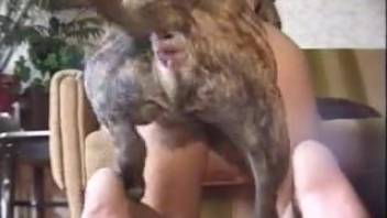 Attractive cute beginner dog bestiality scene up close