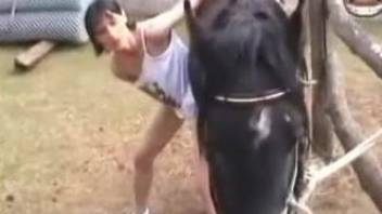 Black horse receives blowjob from young brunette