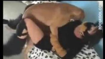 Pretty brunette zoofil really how dog drills her cunt
