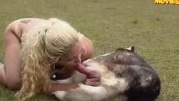 Husky dog fucks blonde babe in the back yard during zoo cam play
