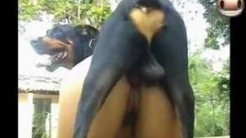 Latina zoofil with perfect ass fucks with a big black dog