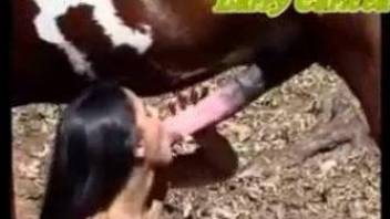 Brave girl is penetrated outdoors with horse's huge meat pole