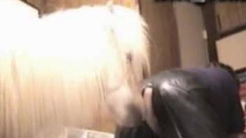 Horse throws a leg to curly-haired countrywoman