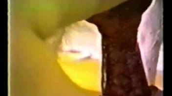 Females on webcam suffering intense bestiality intercourse sequences