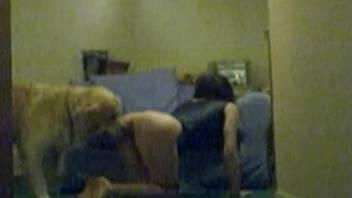 Dog humps hot woman in the pussy during her first zoo cam play