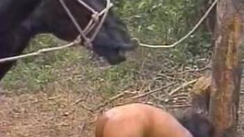 Outdoor horse porn with two sluts in need for brutal sex