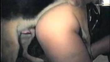 Inexperienced homemaker banged by Alsatian dog in rear-entry position