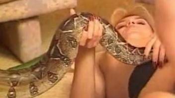 One snake is shared between two attractive lesbians on floor