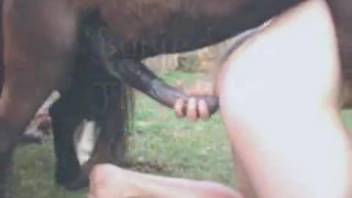 Filthy chestnut stallion barely screws a curvaceous babe