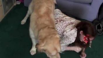 Masked cute brunette gives a perfect treat for her lovely animal