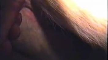 Guy pounds a female horse's soaked vagina doggy-style in a steamy clip