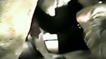 Lady kneels down to perform oral sex on a canine