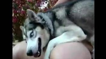Beauty hottie gets her ass hardly penetrated by amazing husky